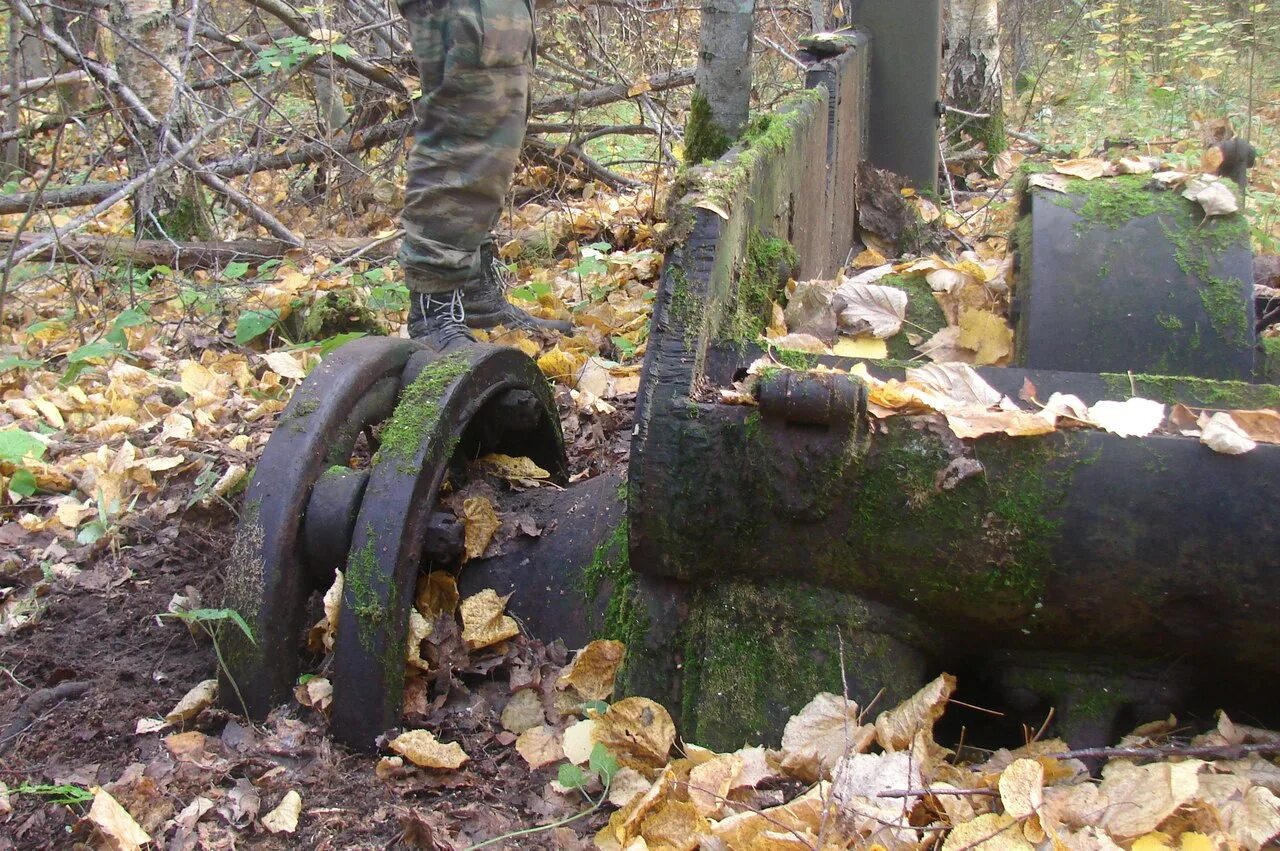 хлебное болото