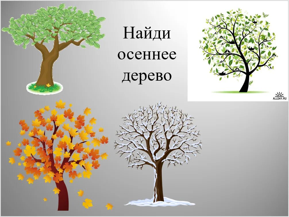 Проект деревьев 2 класс