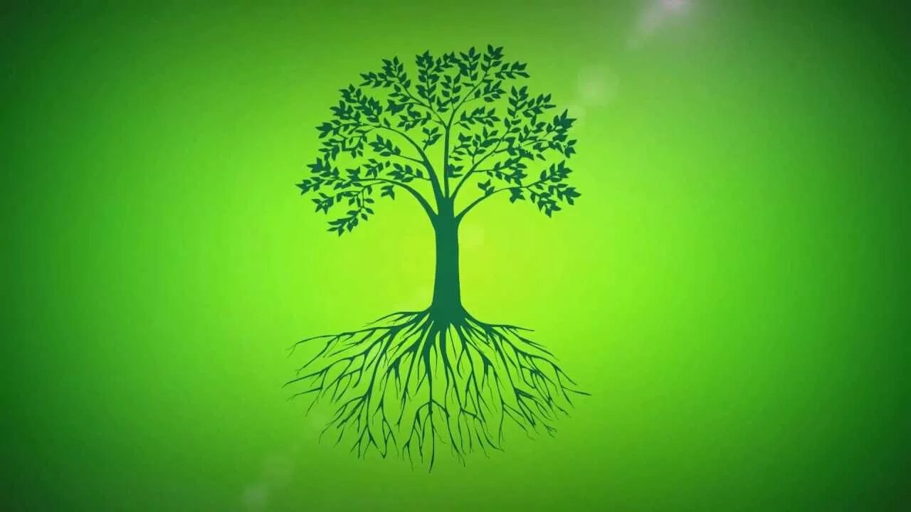 Древо для презентации. Дерево на зелёном фоне. Дерево Древо. Зеленое дерево для родословной. Древо фон.
