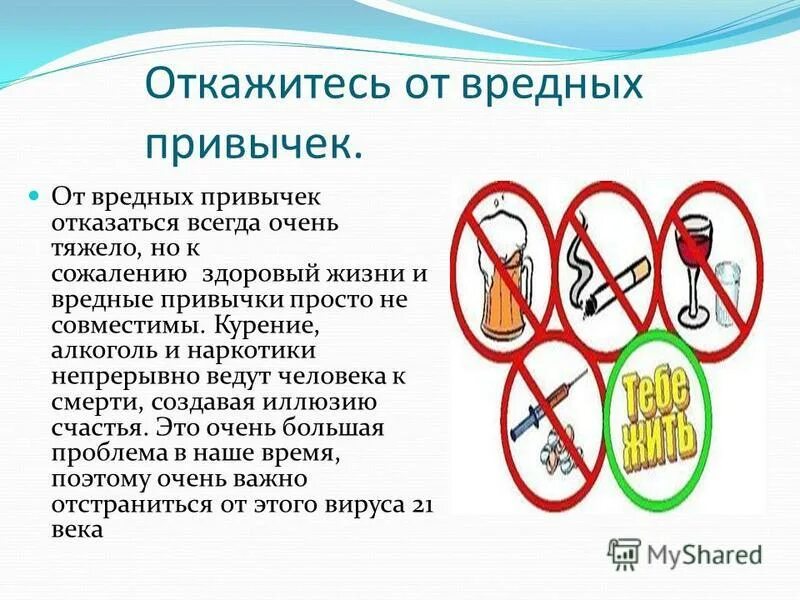 Окружающая среда и здоровый образ жизни