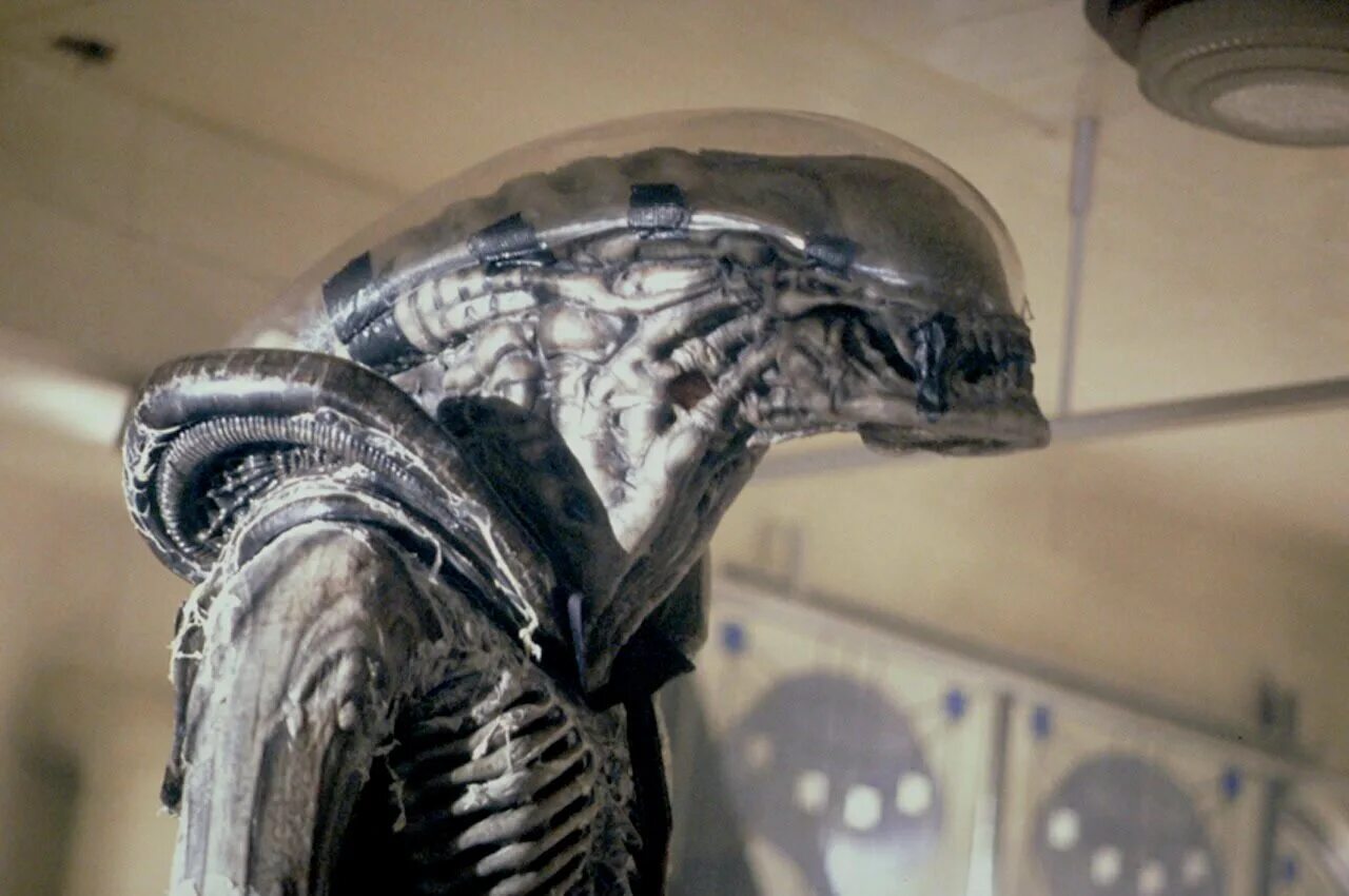 использование чужих