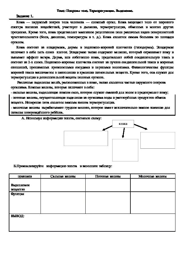 Практическая работа по биологии 9 класс кожа. Проверочная работа по теме кожа 8 класс биология. Биология 8 класс кожа контрольная работа. Рабочий лист кожа. Самостоятельная работа по биологии 8 класс кожа.