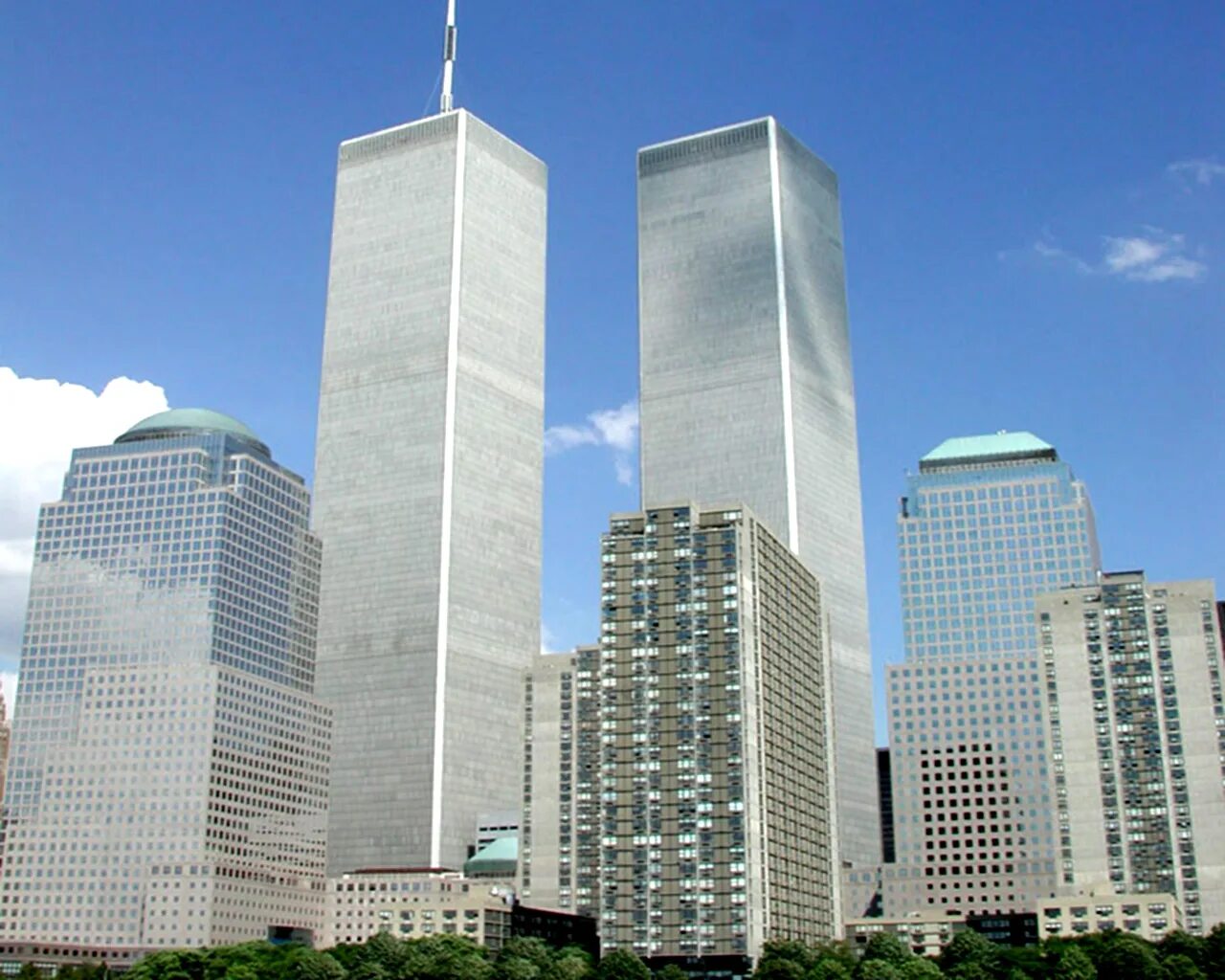 Два близнеца сша
