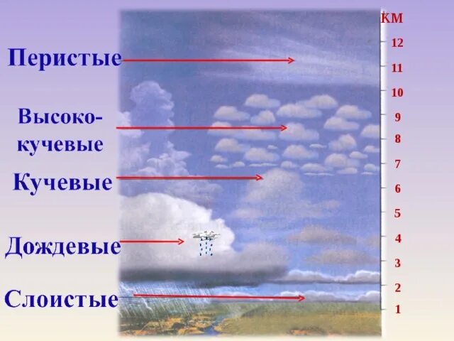 Нижняя граница облаков. Перистые Кучевые и Слоистые. Виды облаков перистые Кучевые Слоистые. Перисто Кучевые. Кучевые и кучево-дождевые облака.