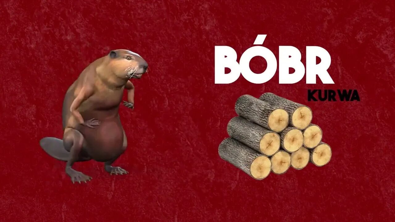 Рисунок бобра. Бобры мем. Bober kurwa ja pierdolę мем. Я пердоле яке бидле бобр перевод. Я пердоле яке бидле бобр перевод.