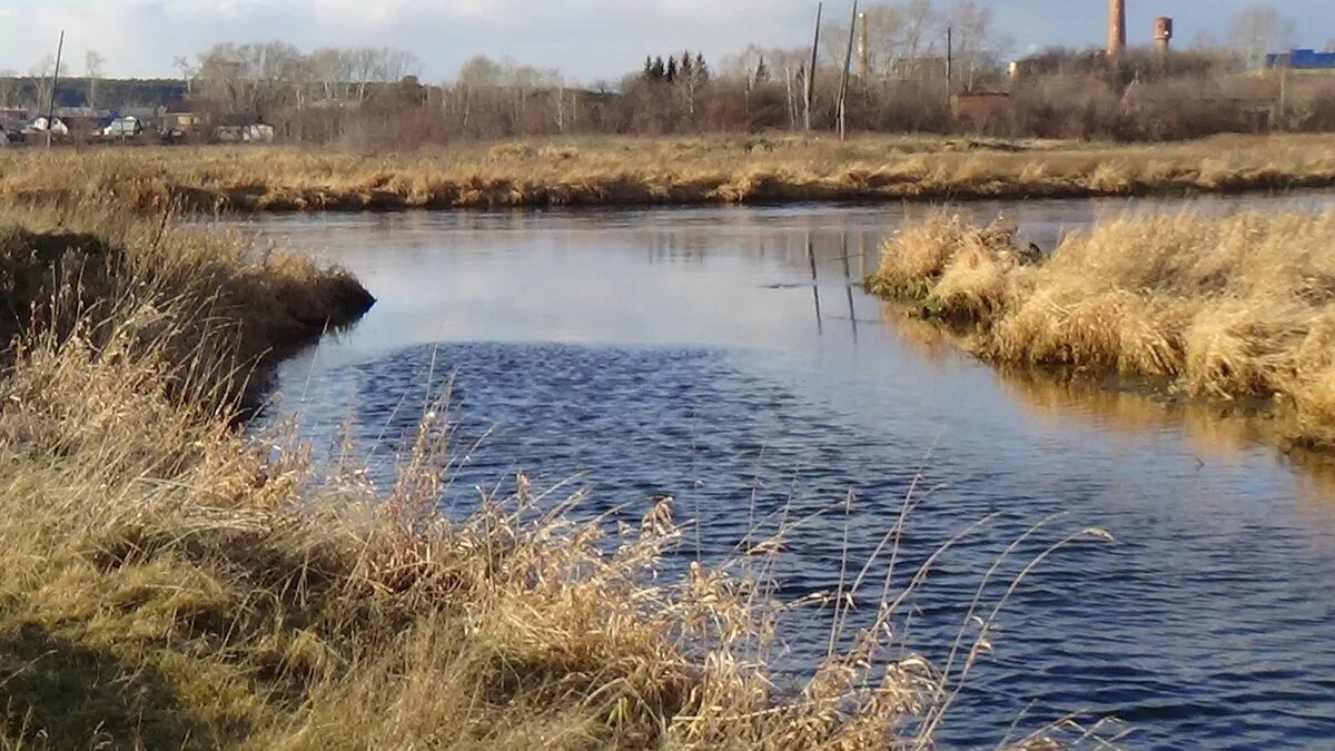 Уровень воды в реке исеть. Река Бобровка Свердловская область. Бобровка (приток Исети). Река Бобровка Свердловская область Артемовский. Река Бобровка Калужская.