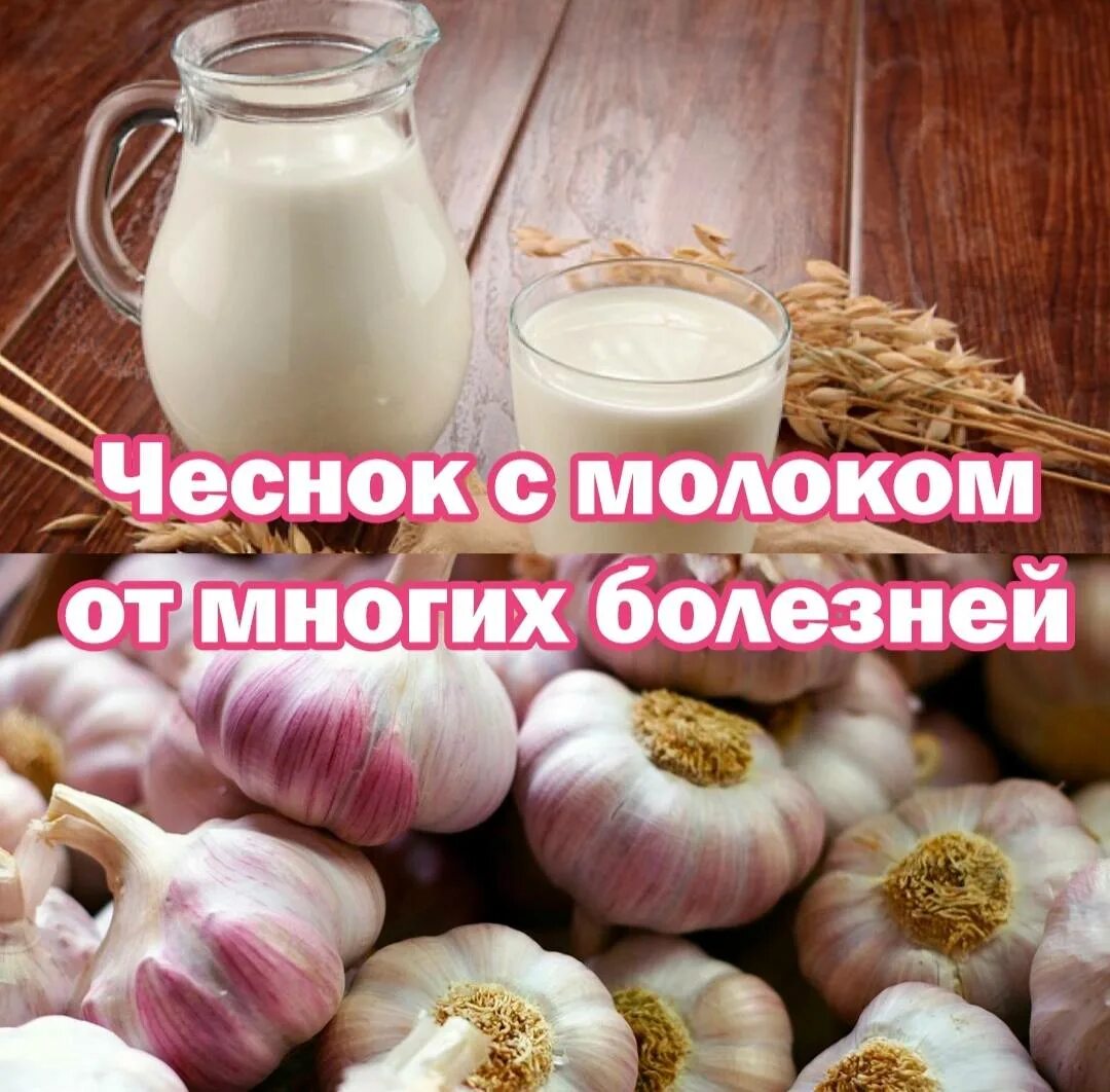 Рецепт молоко с чесноком для чего пьют. Чеснок с молоком. Чеснок в молоке лечит. Молоко с чесноком для чего. Чеснок и сердце.