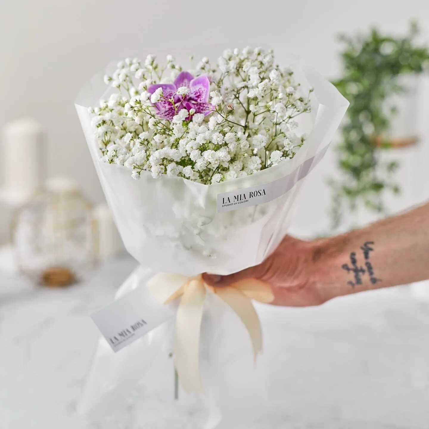 Большие букеты с гипсофилами. Гипсофила радужный. Бутоньерка из гипсофилы для жениха. Букет с хлопком и гипсофилой. Букет белой гипсофилы.