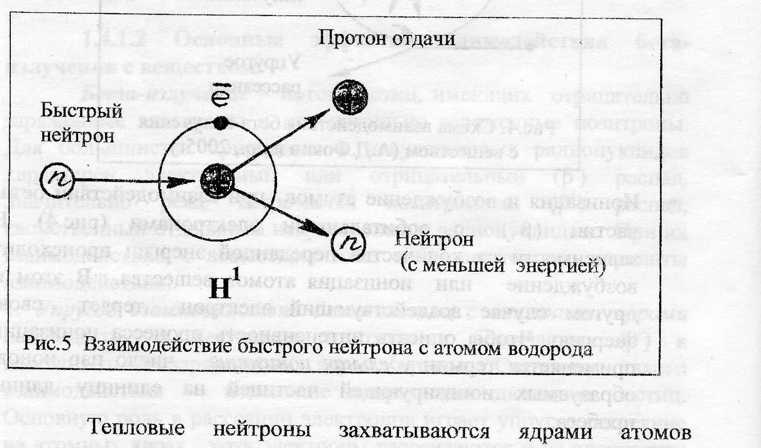 Сколько нейтронов в водороде. Взаимодействие нейтронов с веществом. Рассеяние нейтронов. Неупругое рассеяние нейтронов. Упругое рассеяние нейтронов на ядрах вещества..