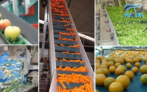 Vegetable processing