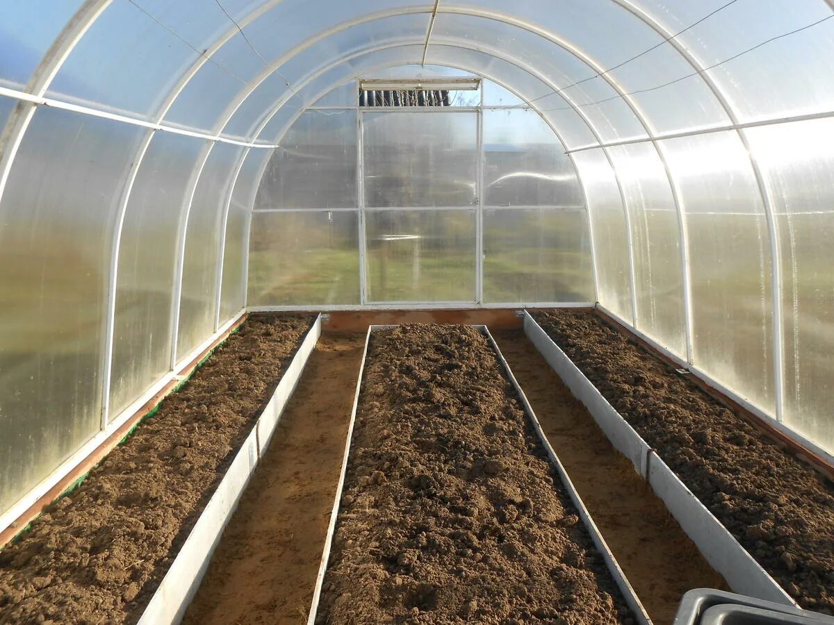 грядки в теплице 3 на 4. грядки для теплицы. грядки в теплице 3 на 8. теплица 2х3 расположение грядок. теплица 3х6 внутри.