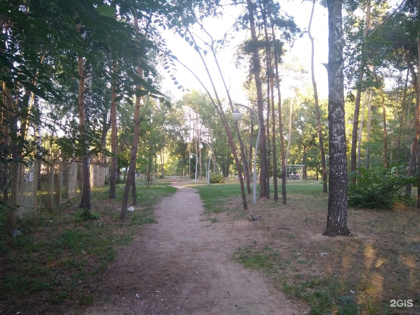 Сосновая роща казань дк химиков. Березовая роща ярославль. Казань роща. Парк сосновая роща дк химиков казань. Березовая роща екатеринбург.