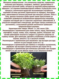 Микориза для комнатных растений фото, видео - 38rosta.ru