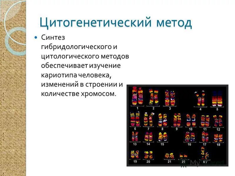 В генетике человека используют гибридологический метод