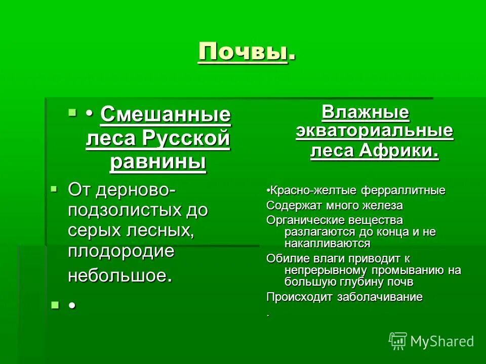 подзолистая почва тайги в россии. серые лесные почвы природная зона. карта почв восточно-европейской равнины россии. мерзлотно-таежные почвы тайги. зональное распределение почв.