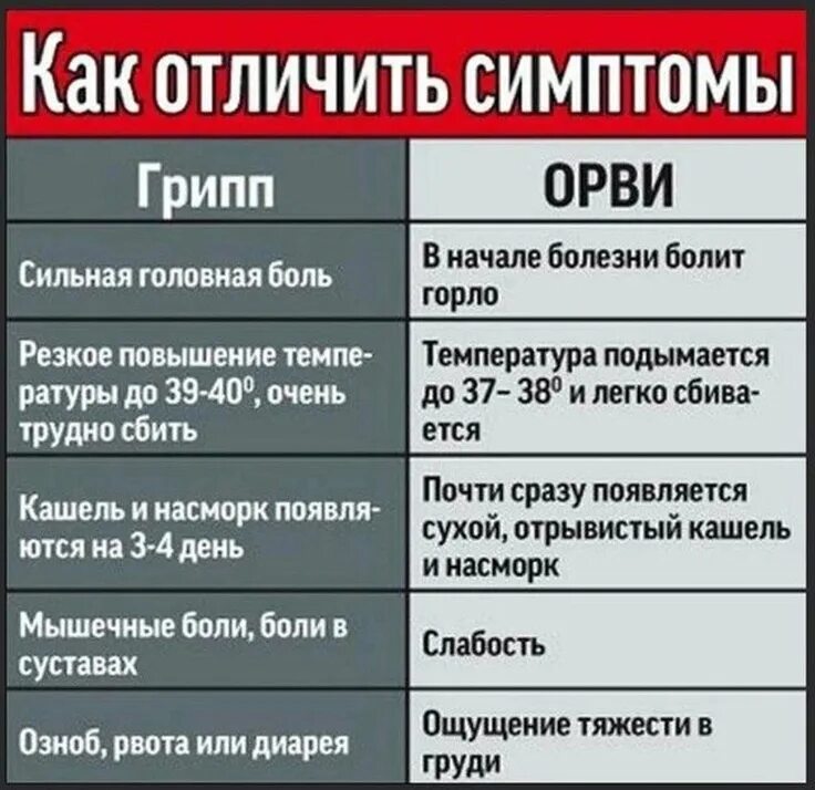 Как правильно принимаем или принемаем. Симптомы гриппа и ОРВИ. Грипп или ОРВИ. Симптомы ОРВИ У взрослого. Признаки гриппа.