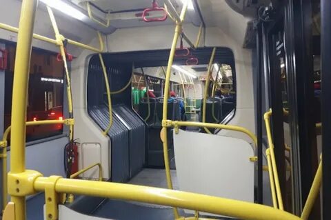 Встречаем в чаще автобусами