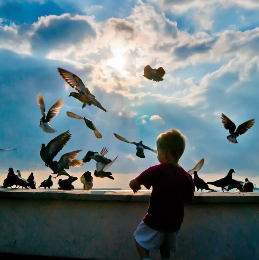 Birds children weather. Птицы для детей. Дети голубей. Мальчик с голубем. Птицы в небе.