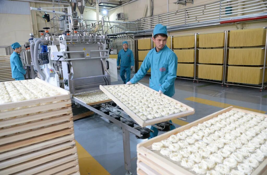 Фармацевтика кыргызстане. Нефтепереработка кыргызстана. Пищевая промышленность киргизии. Зеленстрой бишкек. Переработка сельскохозяйственной продукции.