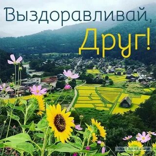 Выздоровление абинск