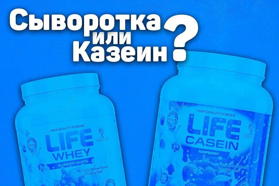 Протеин сывороточный или казеиновый. Casein protein. Чем отличается протеин от казеина. Казеин функция. Мицеллярный казеин калорийность.