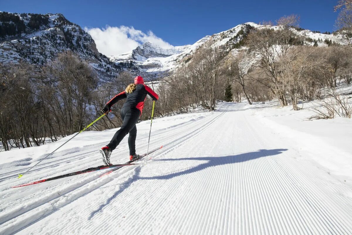 Cross country ski. Лыжники. Лыжные гонки спуск. Лыжная тематика. Лыжная трасса классическая.