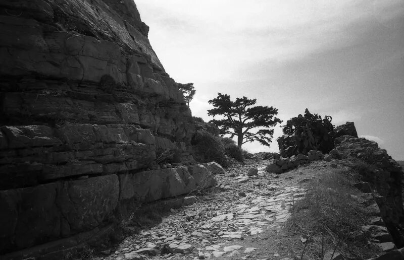 Галерея Клуба Дальномер - xa4-Fomapan200-201309xx-060