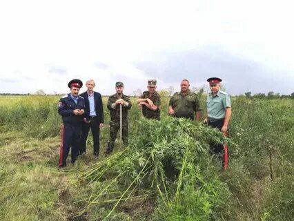 Гисметео нижнедонской ростовская область