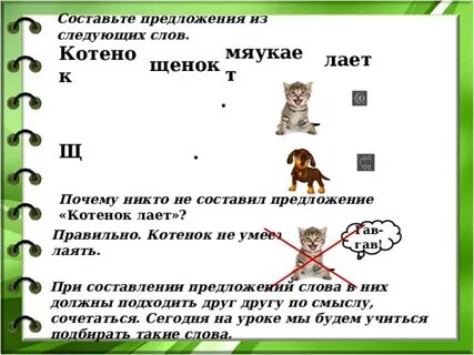 Сочетаемость слова кошка
