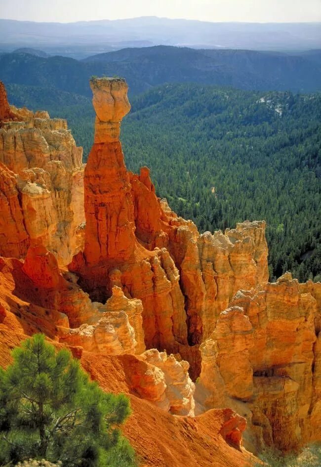 Пещера лурей вирджиния сша. Лурейские пещеры usa virginia. Боливия климат. Озеро уюни в боливии. Десьерто де атакама.