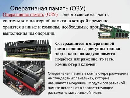 Оперативная память относится к процессору