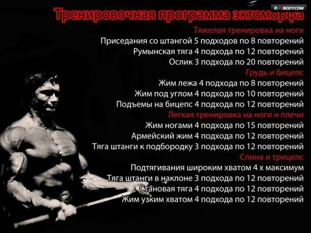 Программа тренировок для набора массы начинающим. Тренировки для набора мышечной массы для мужчин. программы тренировок для набора мышечной массы в картинках. план тренировок для эктоморфа мышечная масса. план тренировок для набора мышечной массы для мужчин.