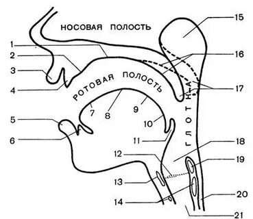 Речевое устройство