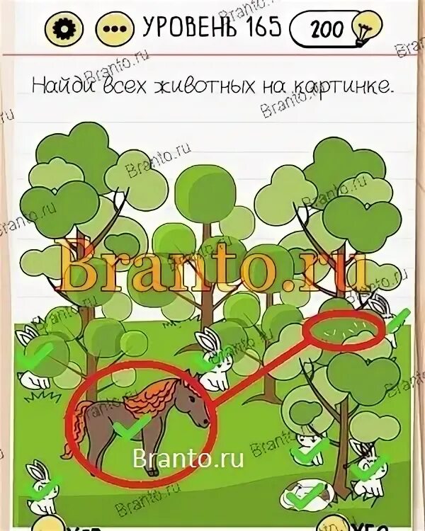 Brain test 165 уровень. Найди всех животных на картинке 165. Уровень 165 Найди всех животных. Найди всех животных на картинке 165 уровень ответы. Brain Test Найди всех животных на картинке.