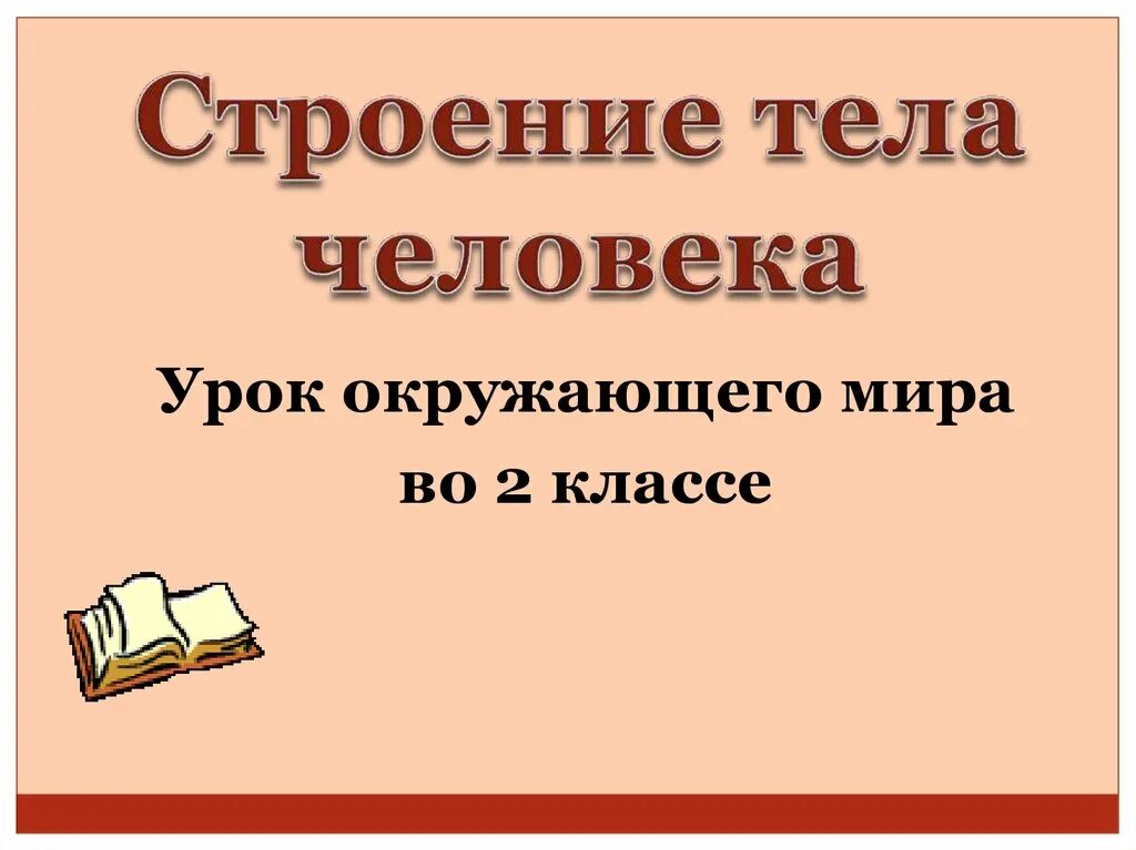 Строение тела человека. Строение человека 2 класс окружающий мир школа россии. Строение туловища человека. Строение тела человека урок 2 класс. Строение тела человека урок 2 класс.
