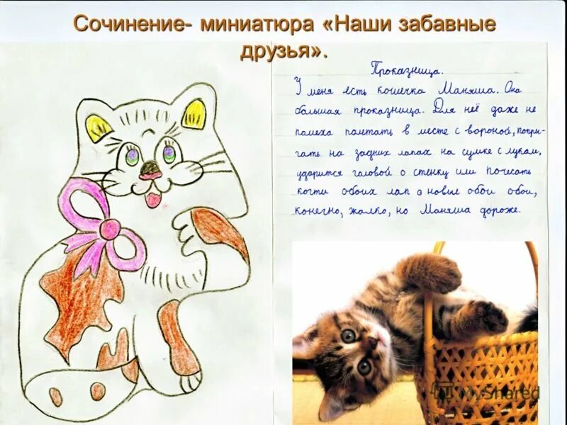 Сочинение миниатюра. Сочинение миниатюра на тему мой домашний питомец. Сочинение-миниатюра про кошку. Придумать сочинение.