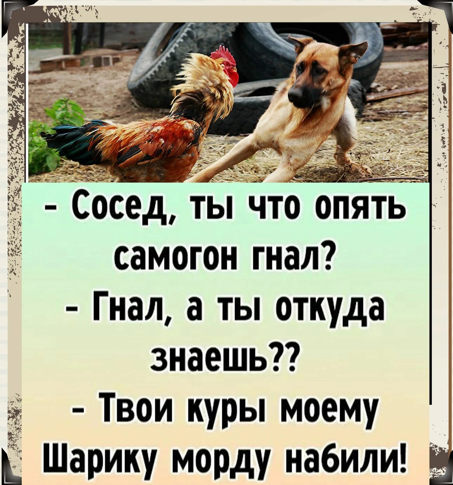 Гнать гонять