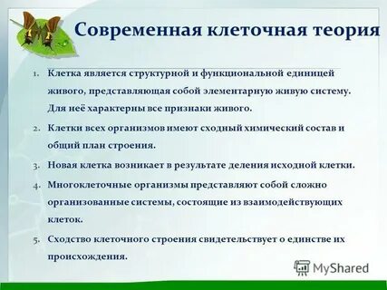 3 клеточная теория