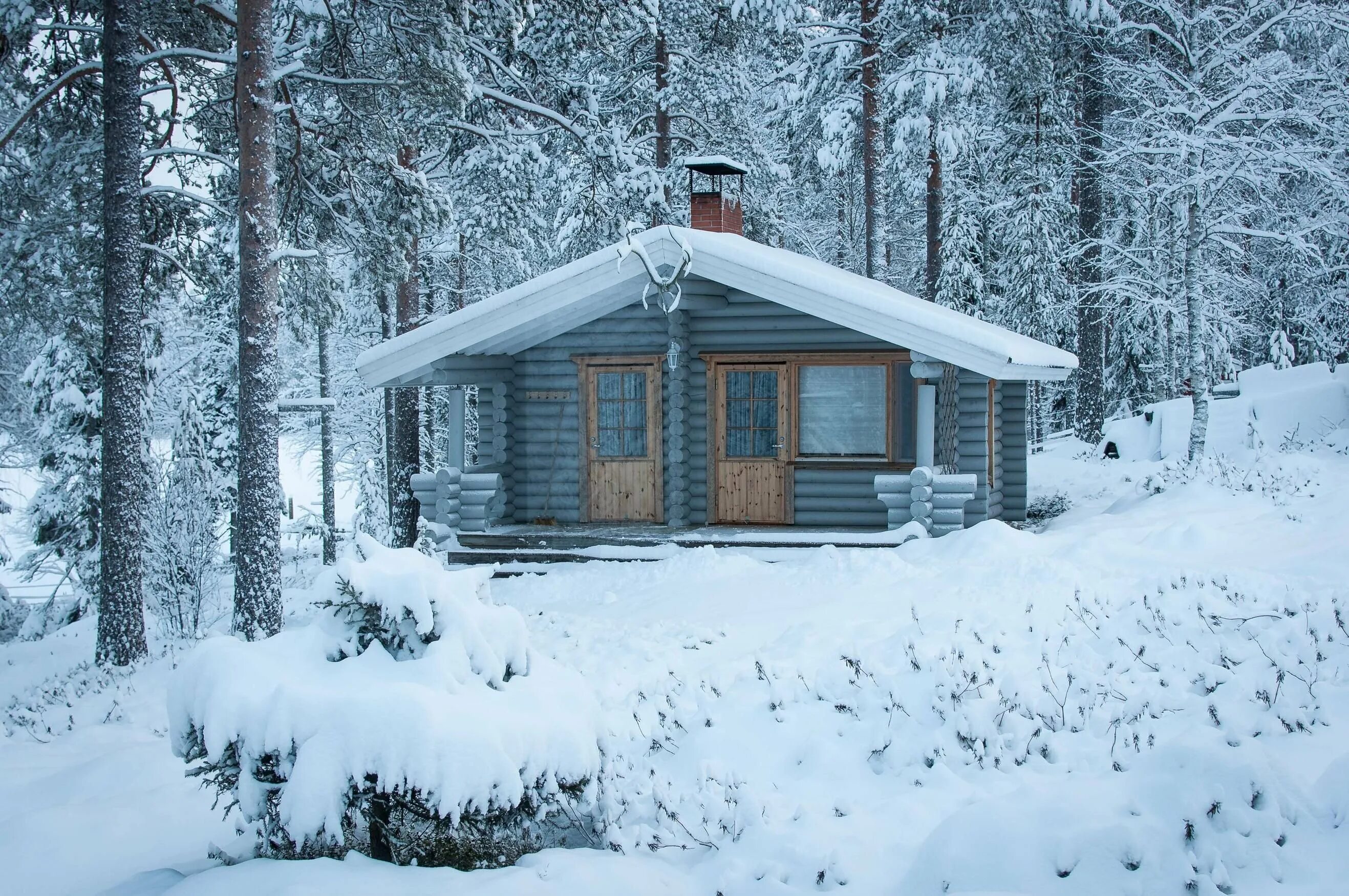 Зимний дом быстро. Винтер хэвен кэбин. аляска cabin. зимний домик. домик в зимнем лесу.
