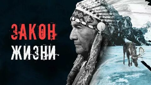 Рассказ закон жизни