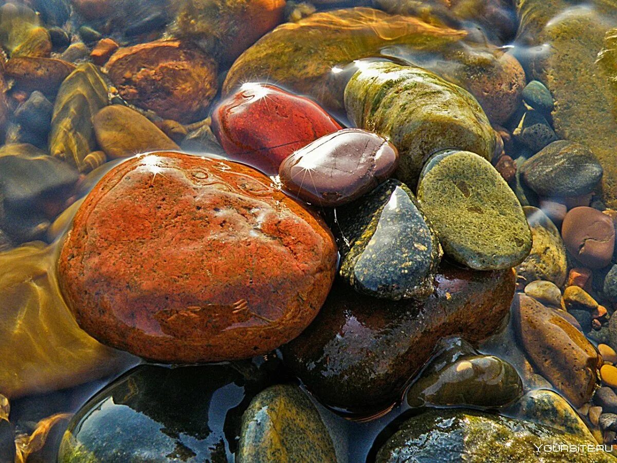 Галька происхождение. Речная галька горного Алтая. Красивые морские камни. Камни разноцветные морские. Красивые камушки.