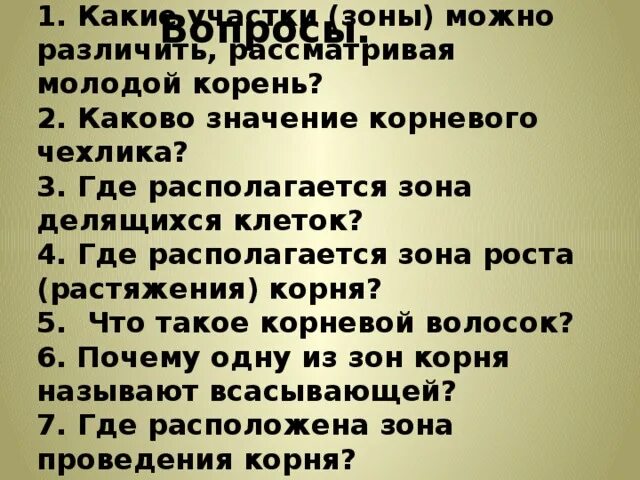 Каково значение корневого. Какие зоны можно различить рассматривая молодой корень. Какие участки зоны можно различить рассматривая молодой корень ответ. Какие участники зоны можно различить рассматривая молодой корень. Какие участки можно различить рассматривая молодой корень биология 6.