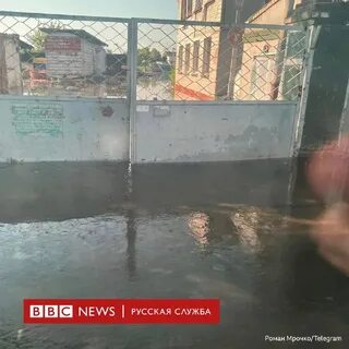Bbc telegram