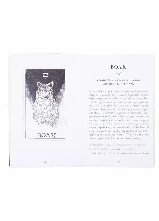 дикое неизвестное тотемное животное колода-оракул. тотемные животные книга. тотемное животное. тотемные животные весов. таро животные тотемы.