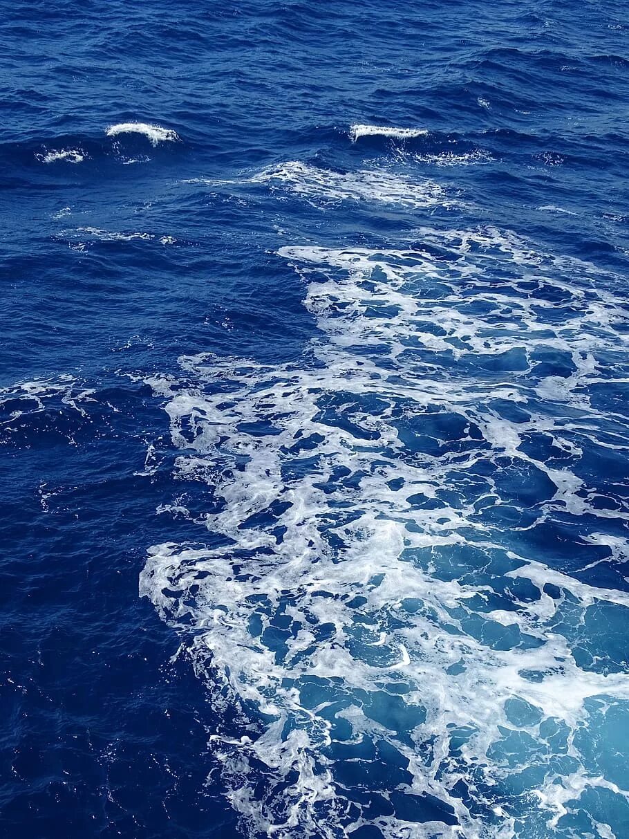 Открытые воды океана