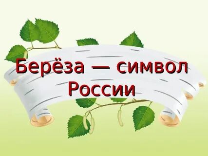 Белая береза символ