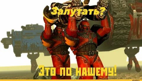 Почему кровавые вороны воруют