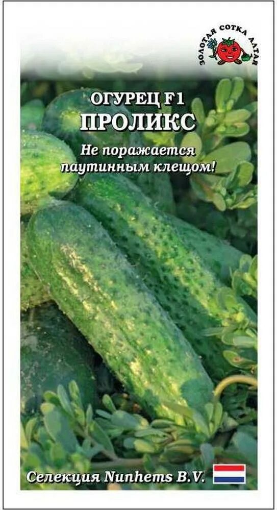Огурец проликс отзывы. Огурец проликс отзывы. Огурец проликс отзывы. Огурец проликс отзывы. Огурец проликс.