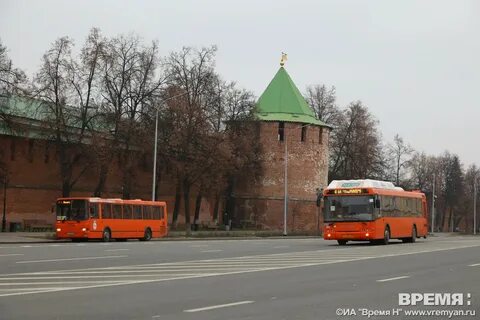 Экскурсия в новгород на автобусе