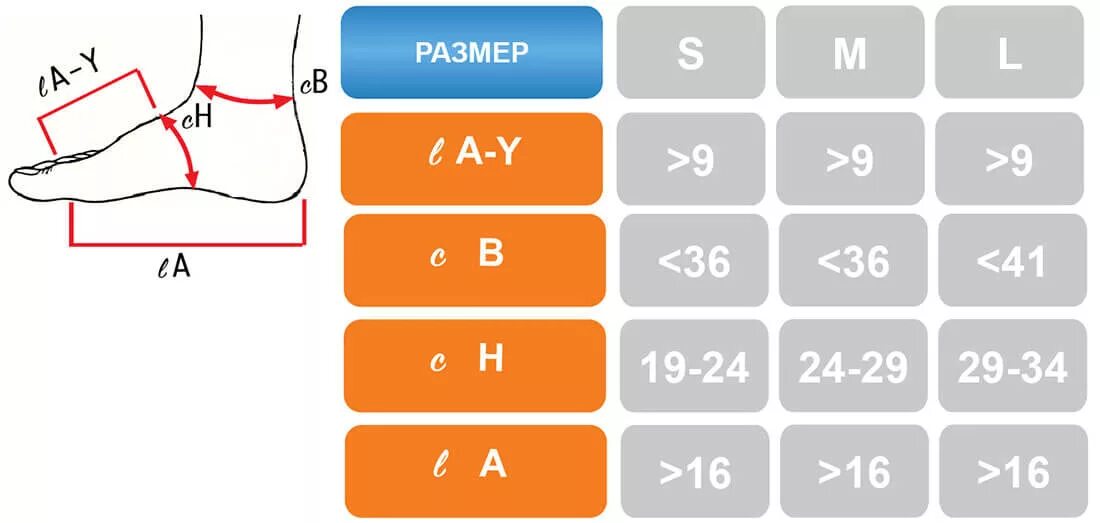 Как определить размер голеностопа. Как определить размер голеностопа